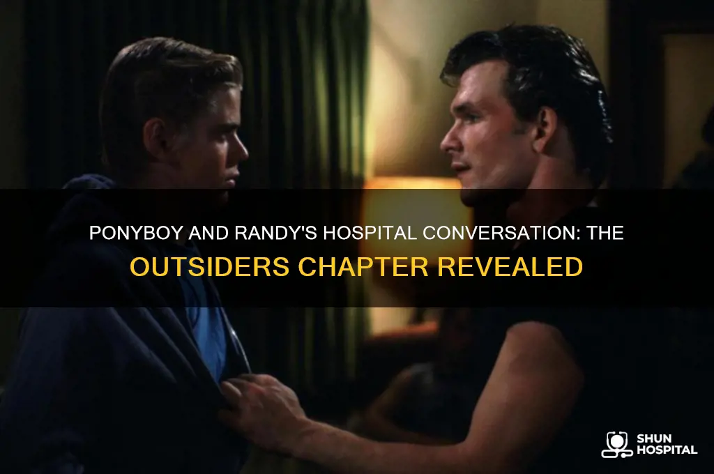 what chapter does randy talk to ponyboy in the hospital