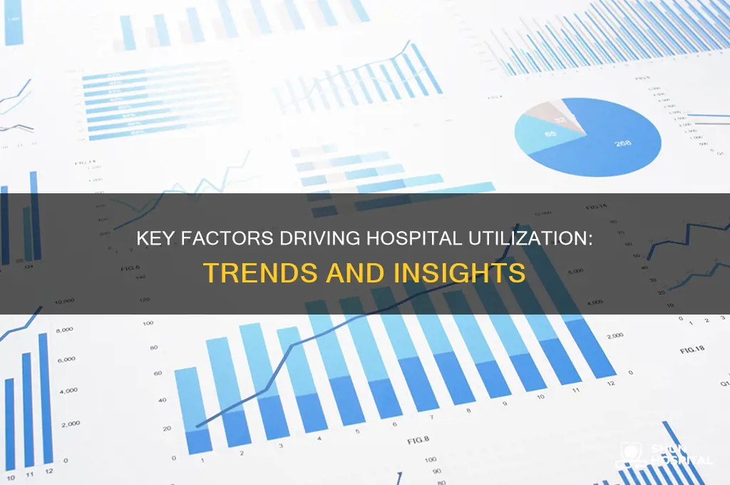what charactiizes hospital utilization