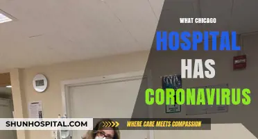 Chicago Hospitals Responding to Coronavirus: Which Facilities Are Treating Patients?