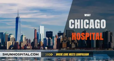 Discovering Chicago's Top Hospital: A Comprehensive Guide to Healthcare Excellence