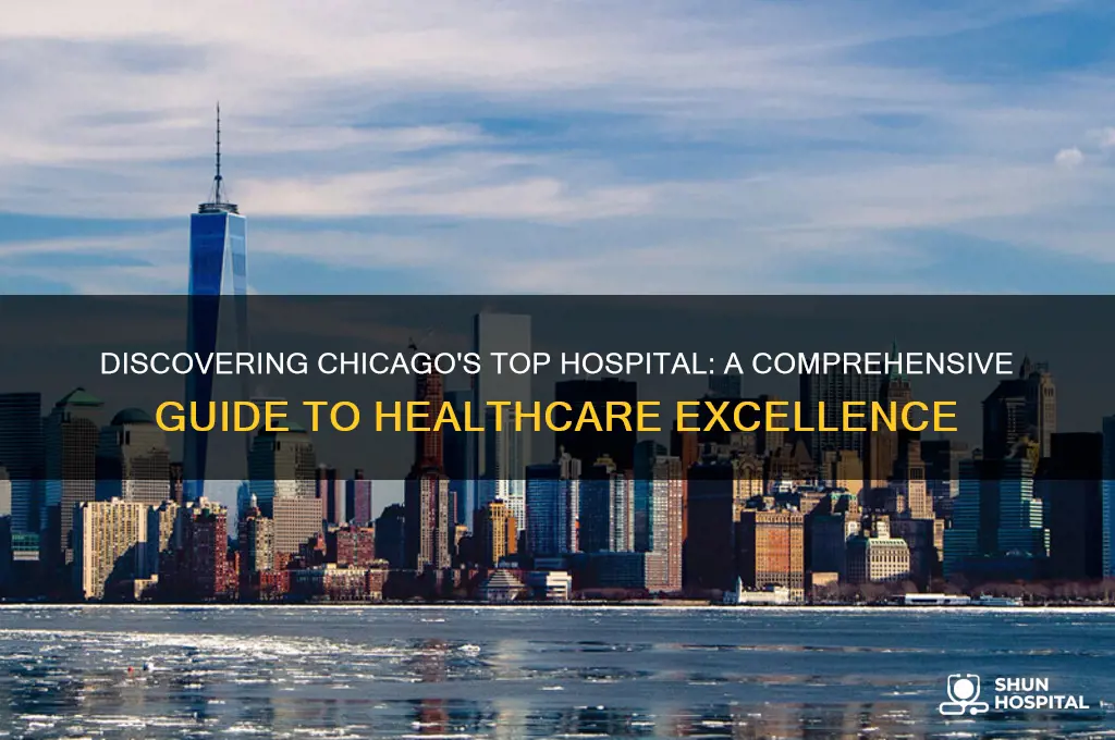 what chicago hospital