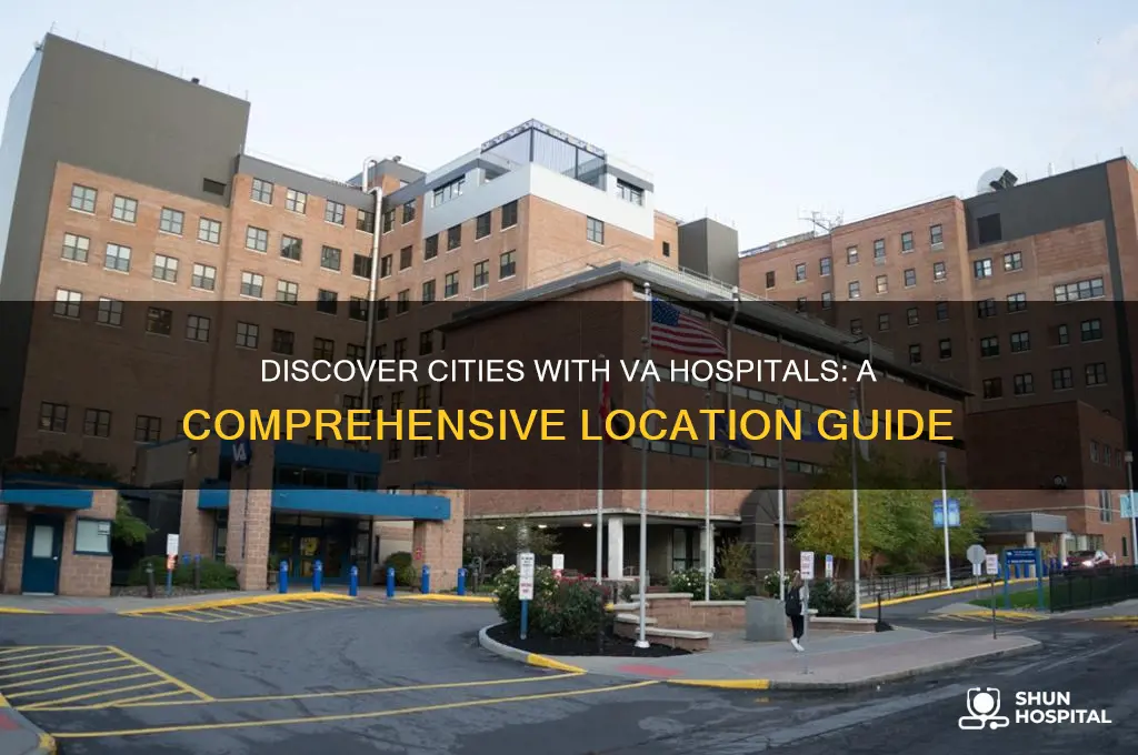 what cities have va hospital