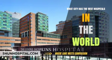Global Healthcare Excellence: Which City Boasts the World's Best Hospitals?