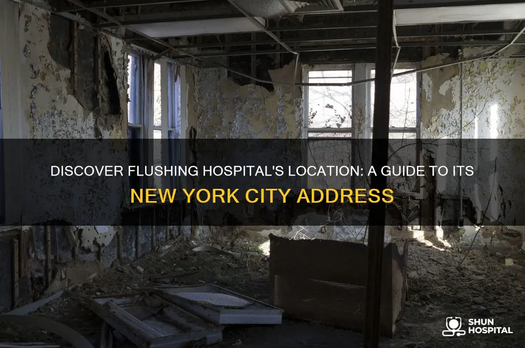 what city is flushing hospital
