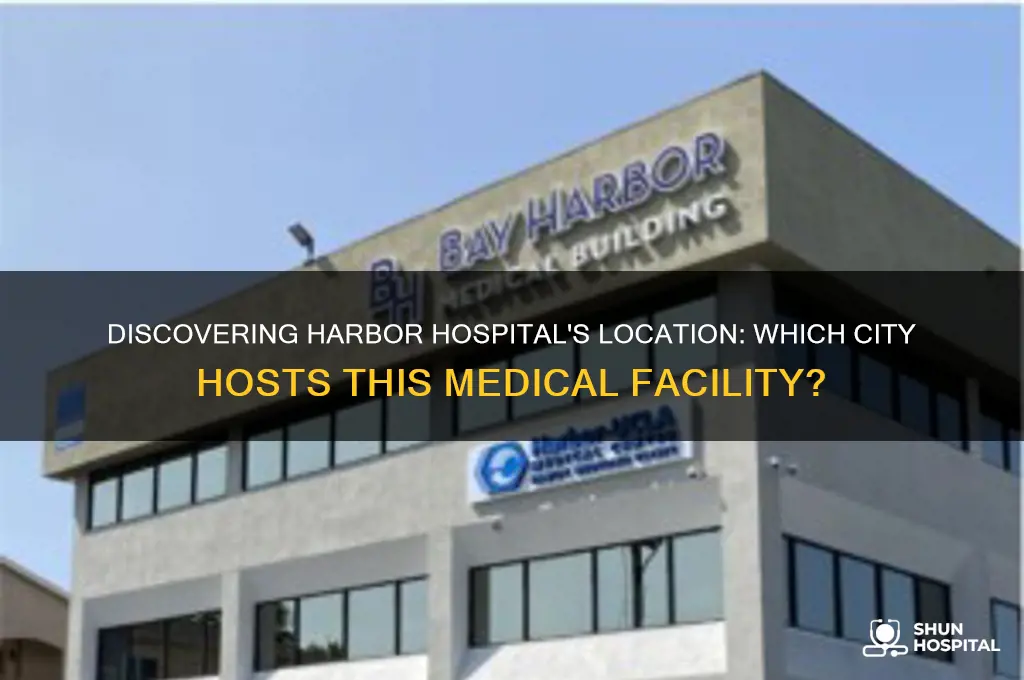 what city is harbor hospital