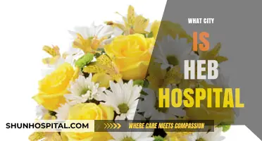 Discovering the Location of HEB Hospital: A Comprehensive Guide