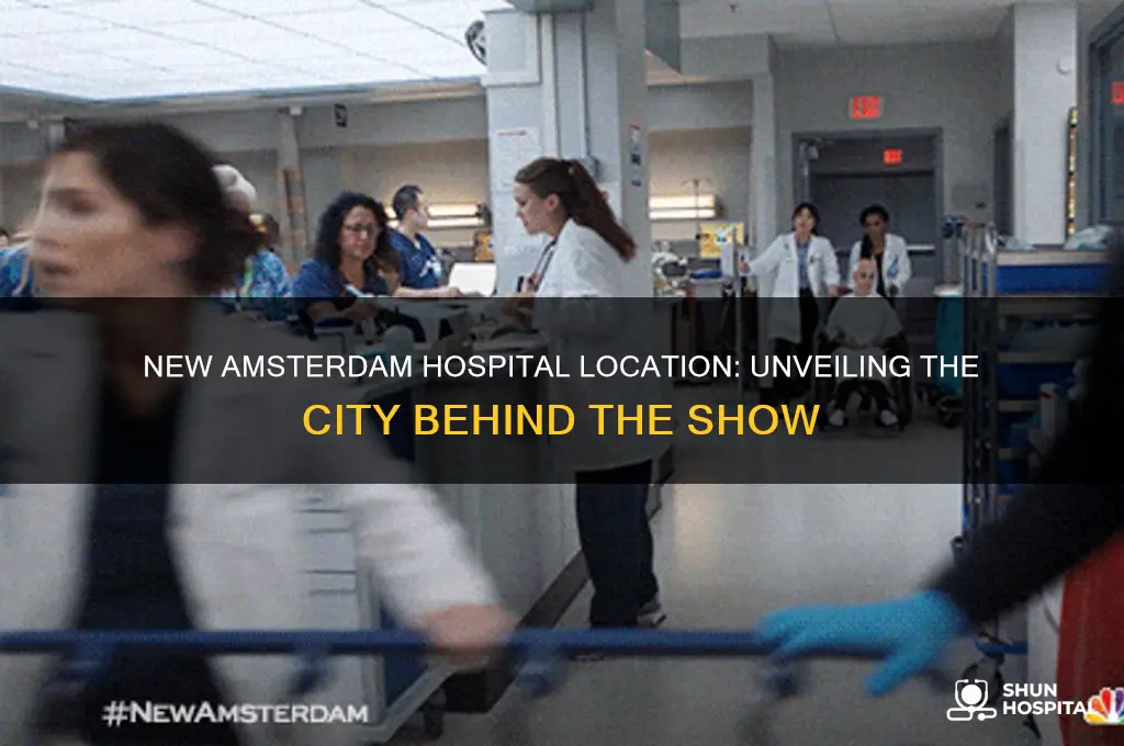 what city is the hospital in new amsterdam in