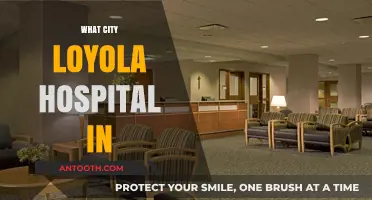 Discovering Loyola Hospital's Urban Location: A City Guide