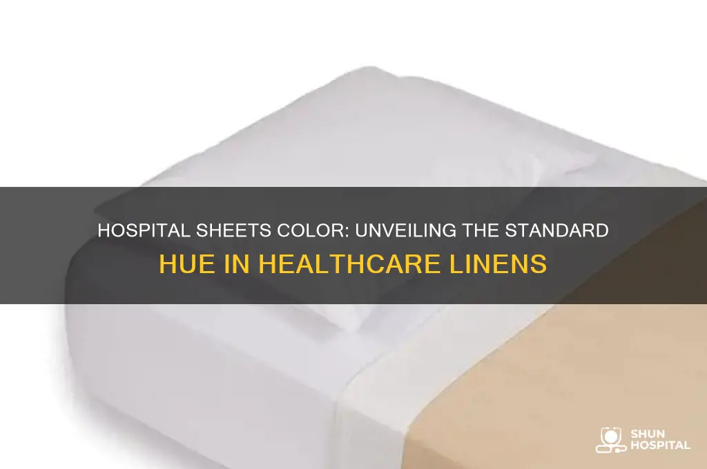 what color are hospital sheets