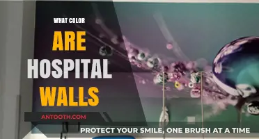 Why Hospital Walls Are Often Painted in Calming Neutral Tones