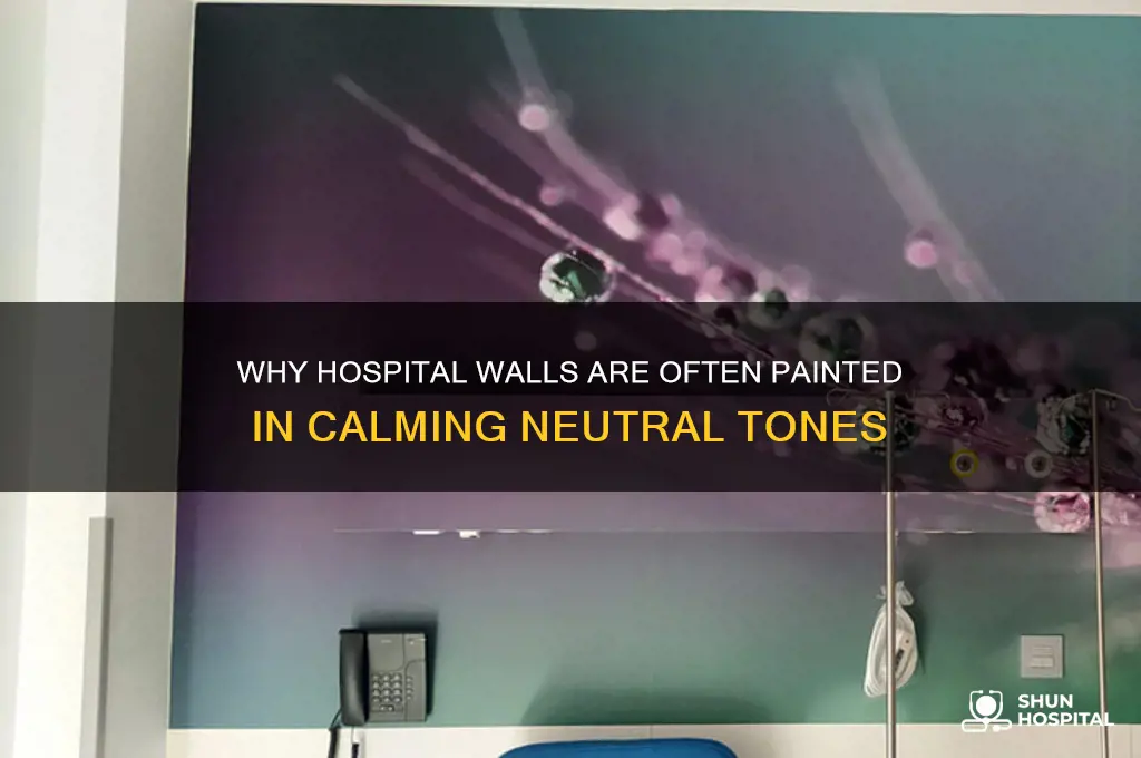 what color are hospital walls
