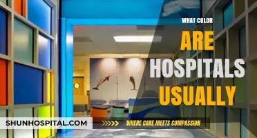 The Healing Hue: Exploring the Common Colors of Hospitals