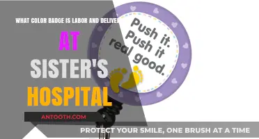 Identifying Labor and Delivery at Sister's Hospital: Badge Color Guide