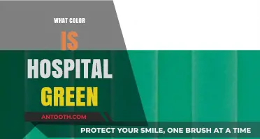 Unveiling the Calming Truth: What Color is Hospital Green?