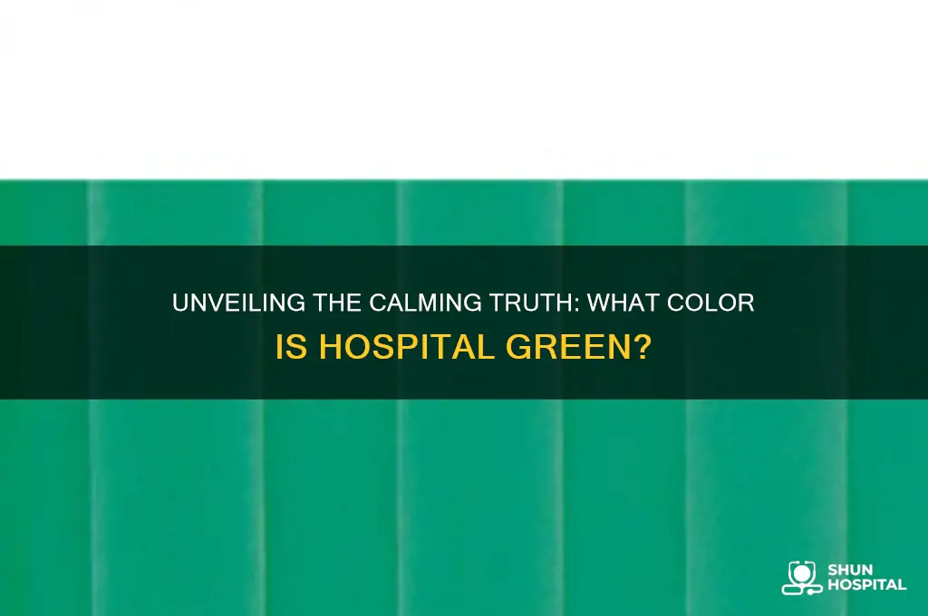 what color is hospital green