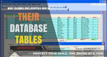 Essential Database Columns in Hospital Systems for Efficient Healthcare Management