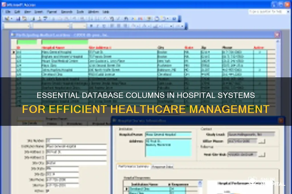 what columns does hospitals have in their database tables