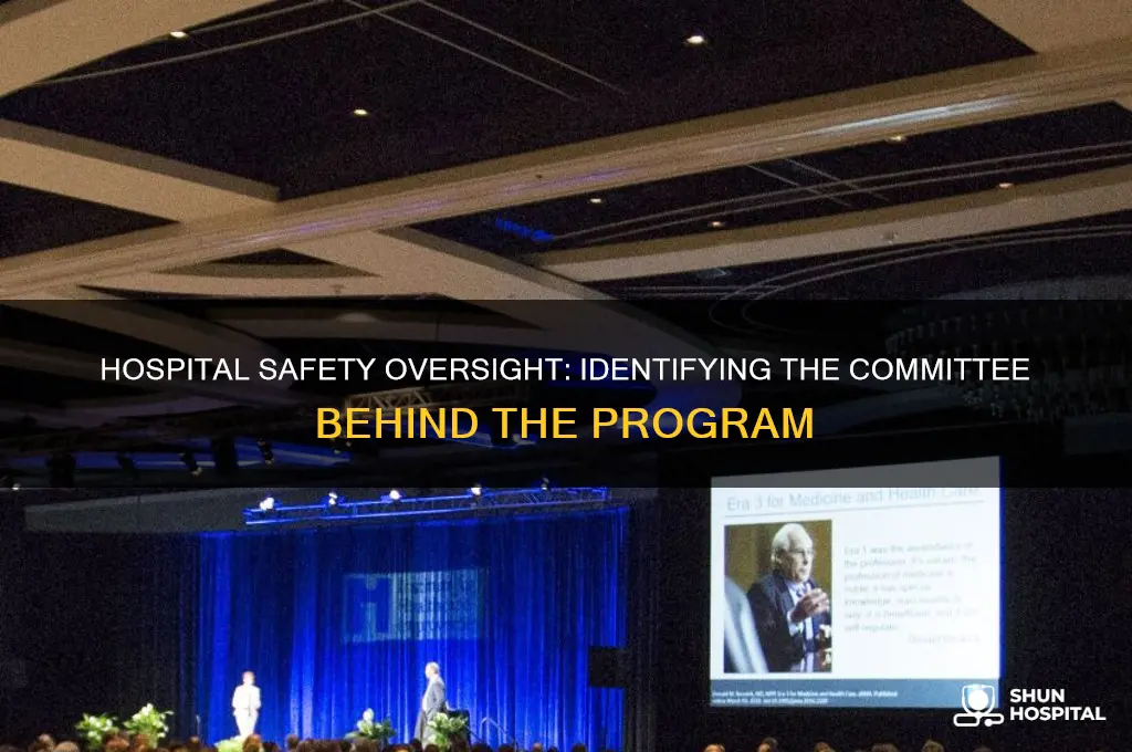 what committee is responsible for the hospital wide safety program