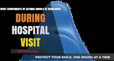 Essential Asthma Monitoring Components During Hospital Visits: A Comprehensive Guide