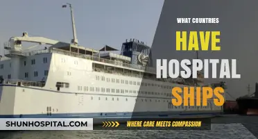 Global Healing Waves: Countries Operating Hospital Ships Worldwide