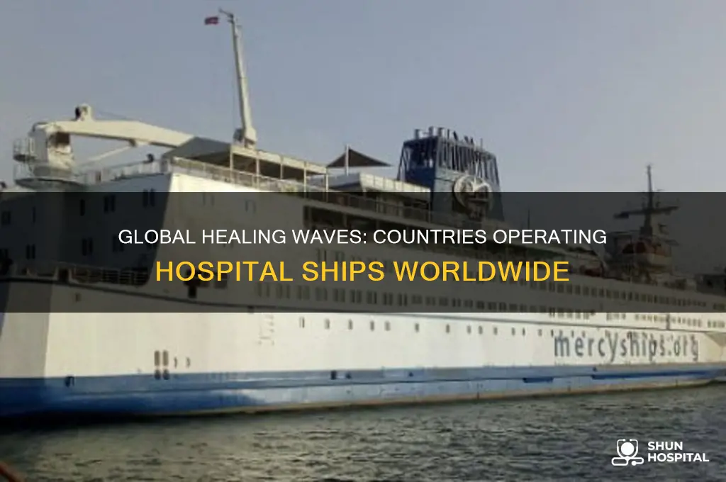 what countries have hospital ships