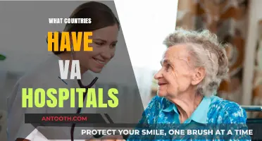 Exploring Nations with VA Hospitals: A Global Veterans Healthcare Guide