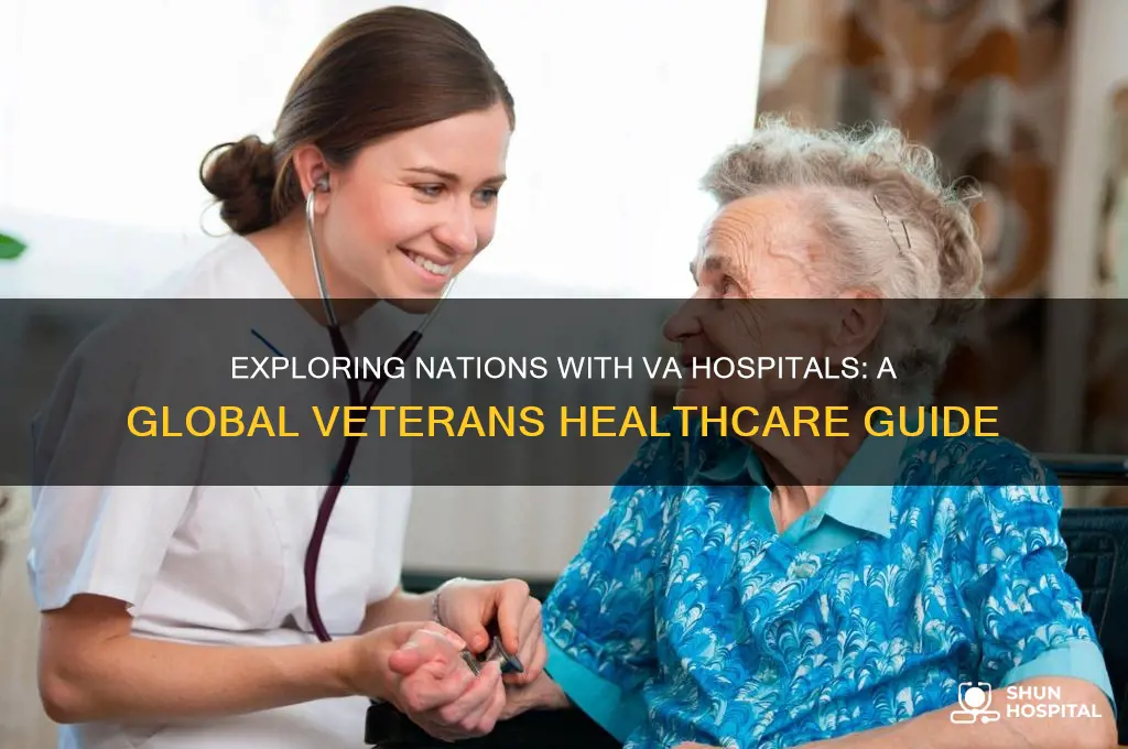 what countries have va hospitals