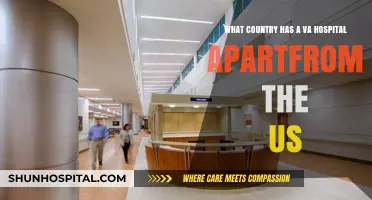 Exploring Global VA Healthcare: Which Countries Offer Veteran Hospitals?