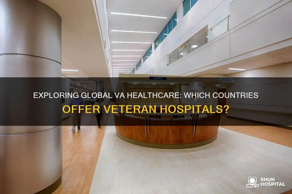 what country has a va hospital apartfrom the us