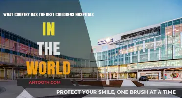 Exploring the World's Top Children's Hospitals: Which Country Leads?