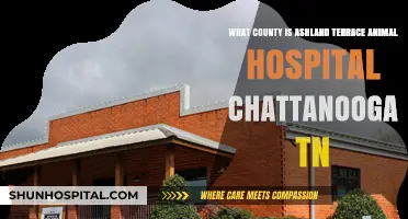 Ashland Terrace Animal Hospital: Which Chattanooga, TN County is it In?