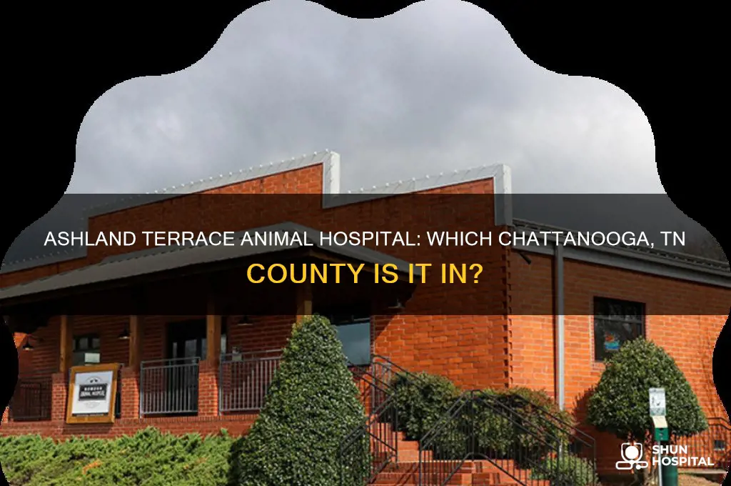 what county is ashland terrace animal hospital chattanooga tn