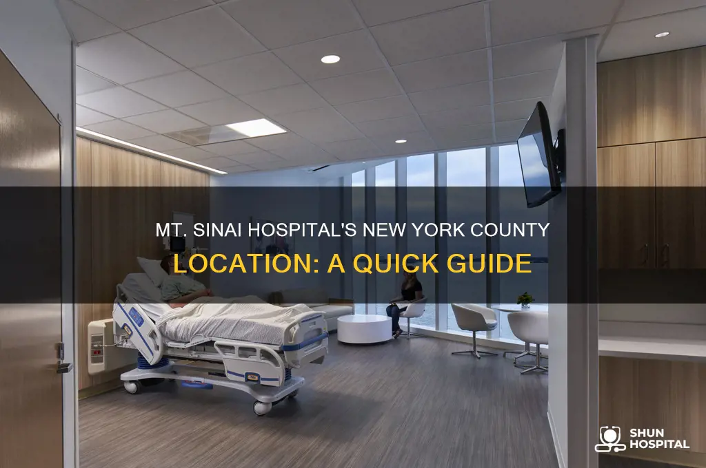 what county is mt sini hospital in new york