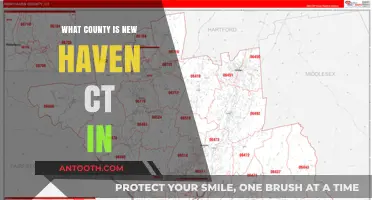 New Haven, CT: What County Does It Belong To?