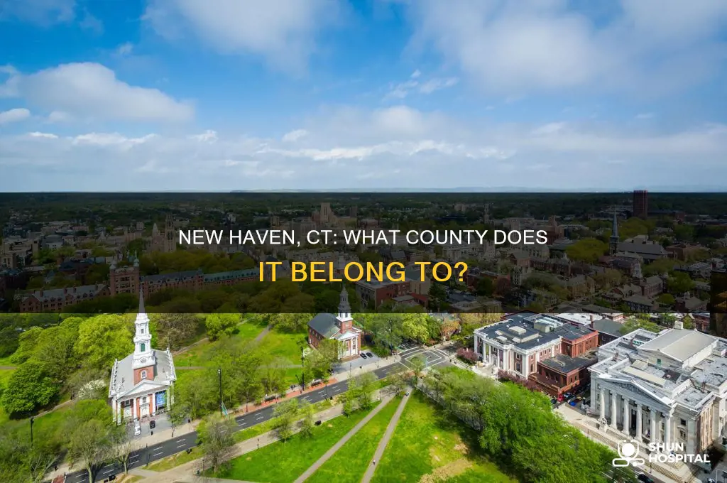 what county is new haven ct in