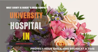 Robert B. Green Campus University Hospital: Exploring Its County Location