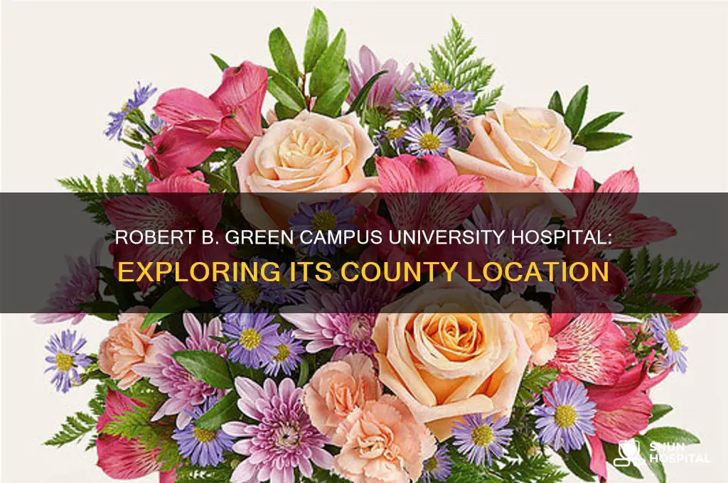 what county is robert b green campus university hospital in