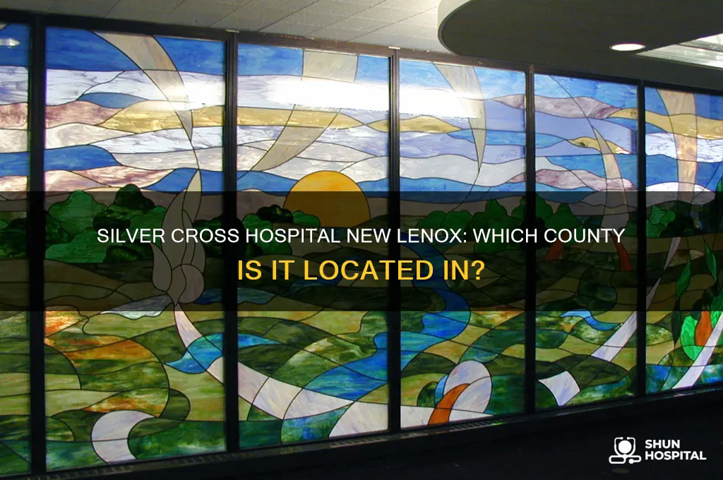 what county is silver cross hospital new lenox in