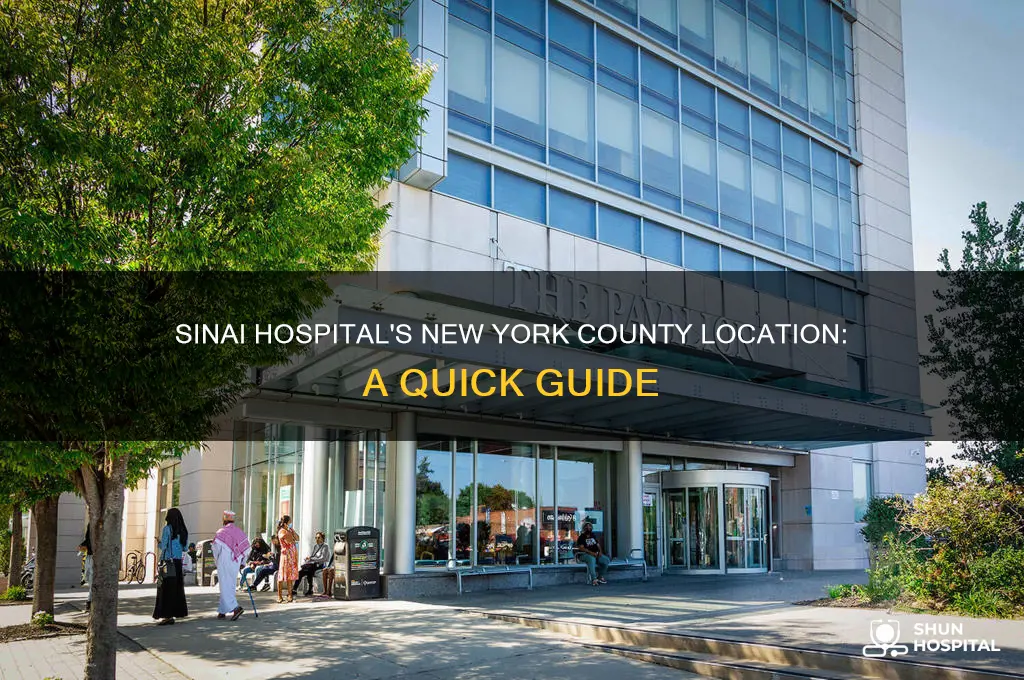 what county is sinai hospital in new york in