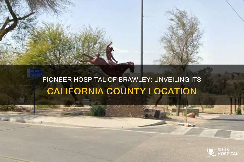 what county is the pioneer hospital of brawley california in