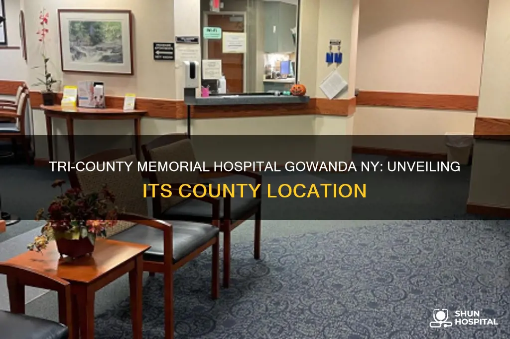 what county is tri county memorial hospital gowanda ny in