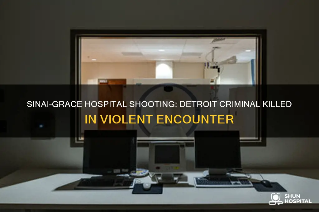 what criminal was killed at sinai grace hospital in detroit