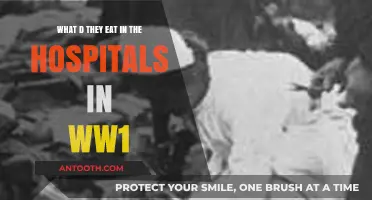 World War I Hospital Diets: What Did Soldiers and Patients Eat?