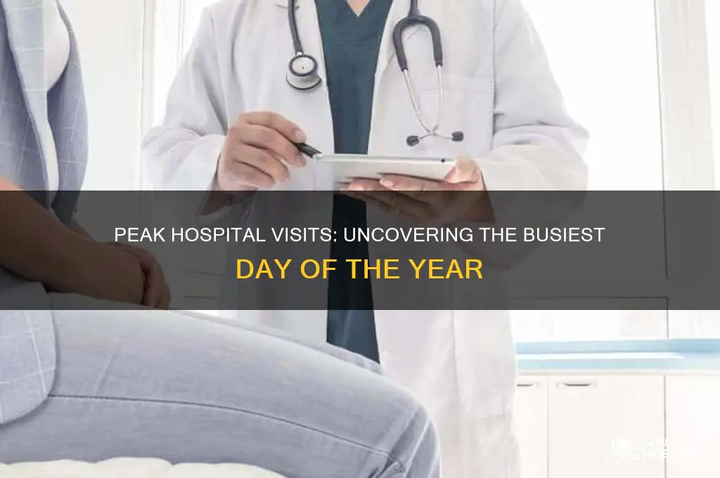 what day of the year has the most hospital visits