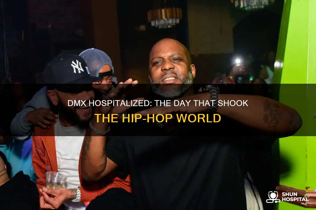 what day was dmx hospitalized