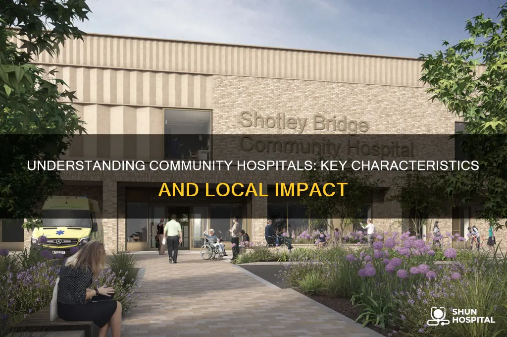 what defines a community hospital