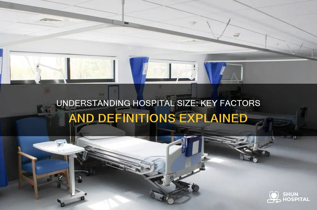 what defines a hospital size