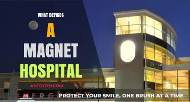 Understanding Magnet Hospitals: Key Characteristics and Benefits Explained