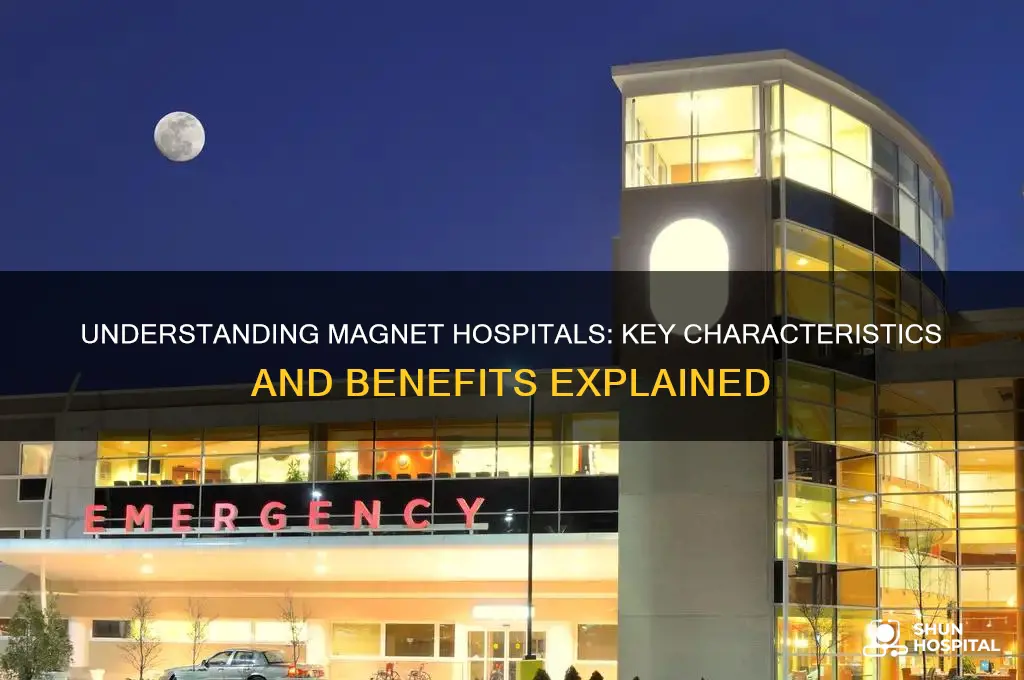 what defines a magnet hospital