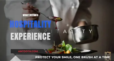 Crafting Memorable Stays: Key Elements Defining the Hospitality Experience